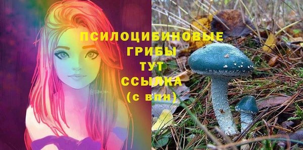 PSILOCYBIN Алексин