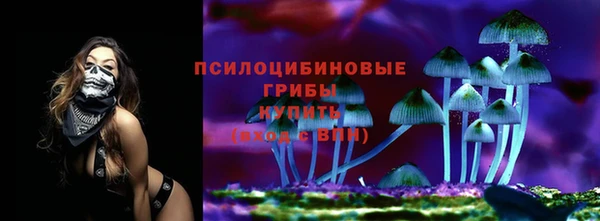 кокс Алзамай