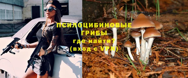 PSILOCYBIN Алексин