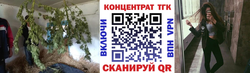 ТГК Wax  Купить закладки  Полярные Зори 